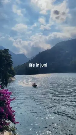 life in juni 