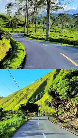2 video gabung 