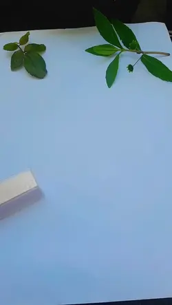 Iklan Produk