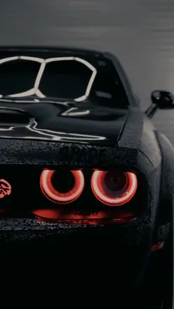 2VIDEO | WOW⚡️
