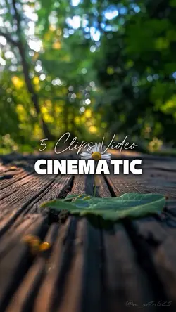 5 Videos Cinematic 
