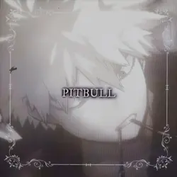 Pitbull Terrier 