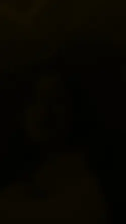 phonk