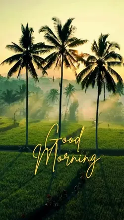 coffe morning