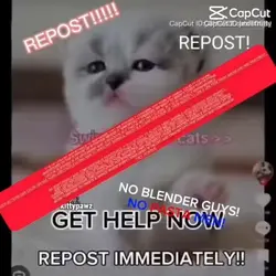 hey