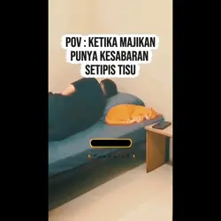 cat lover