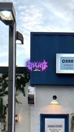 No mirror
