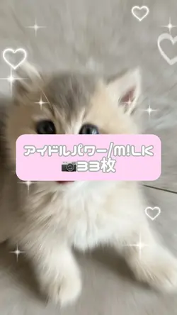 アイドルパワー/M!LK