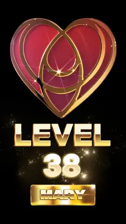 Teamheart Level