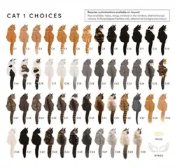 Cat 😍😍😍
