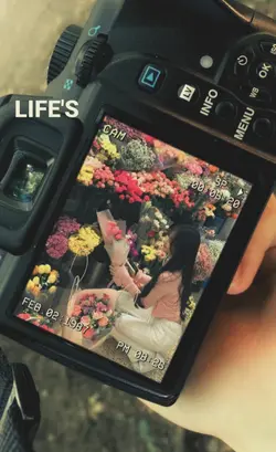 frame camera