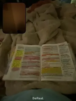 dusty bibles