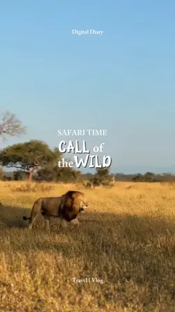 safari time