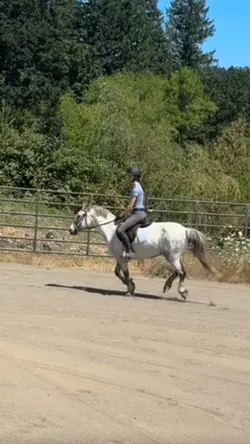 pole exercise and