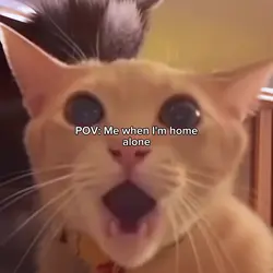 WOBBILY WIGGILY