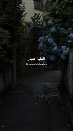 dunya