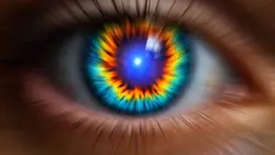 Portal 