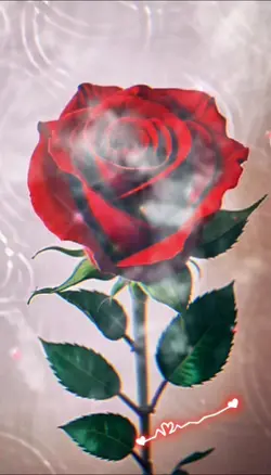 rose rouge 