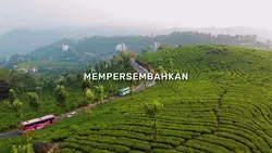 VIDEO ALA FTV SCTV