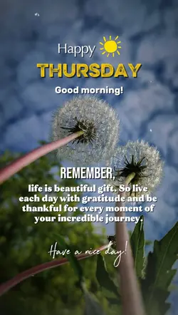 Happy Thursday