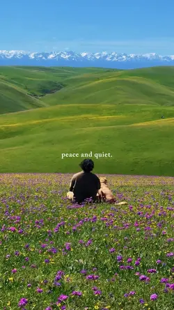 peace and quiet
