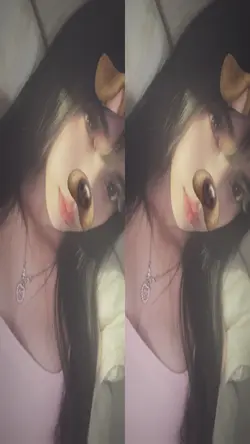 dog filter
