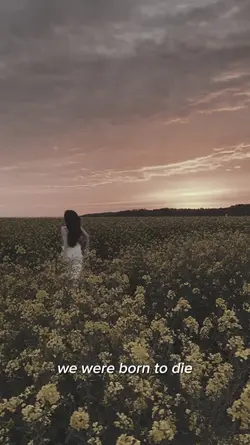 we were born to die