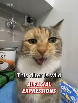 AI Facial Expression