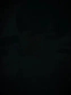 AKU BERMAIN CINTA 