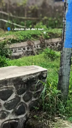 TRANSISI X GLICHT