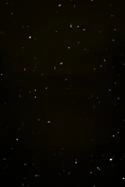 قران كريم راحه نفسيه