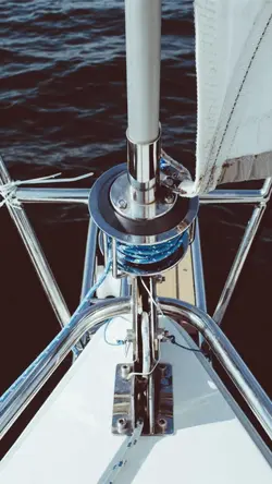 Wild Voyage