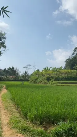 Perkampungan
