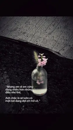 1 ảnh caption 