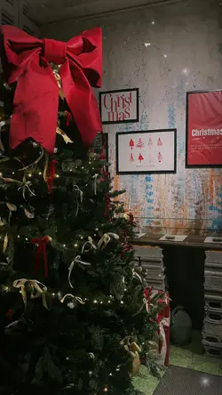 Mistletoe Noel