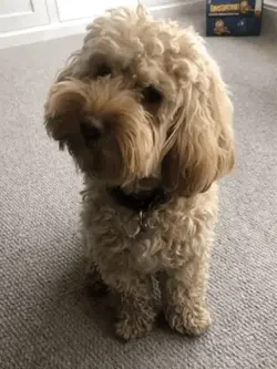 Little dance 😊