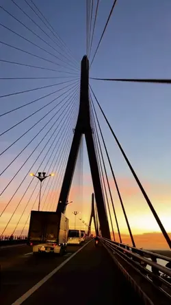 Video aestetic