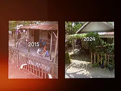 "2015"     "2024"