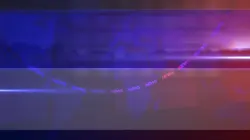 News Live