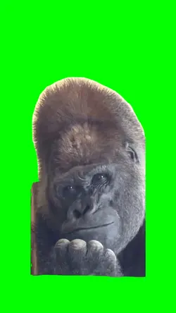 Gorilla meme