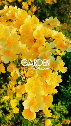 Garden blossom