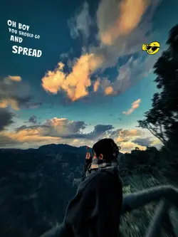 aesthetic 