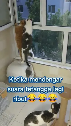 Tetangga ribut