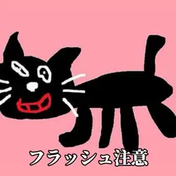 音源はTikTokに入れてください