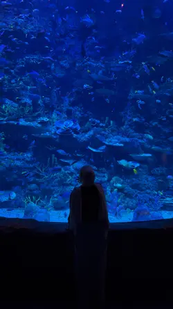 Aquarium date