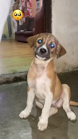 Missyou miyo😭