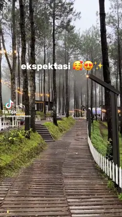 ekspektasi vs real
