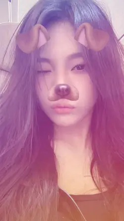 2014 dog filter