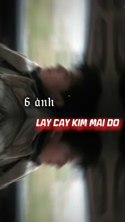 6 ảnh   