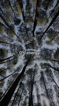 0% energy